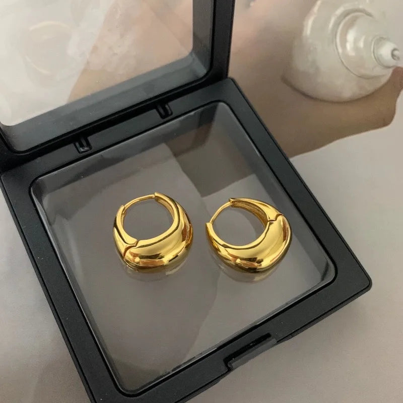 Stainless Steel Crystal Zircon Circle Earrings gift box display