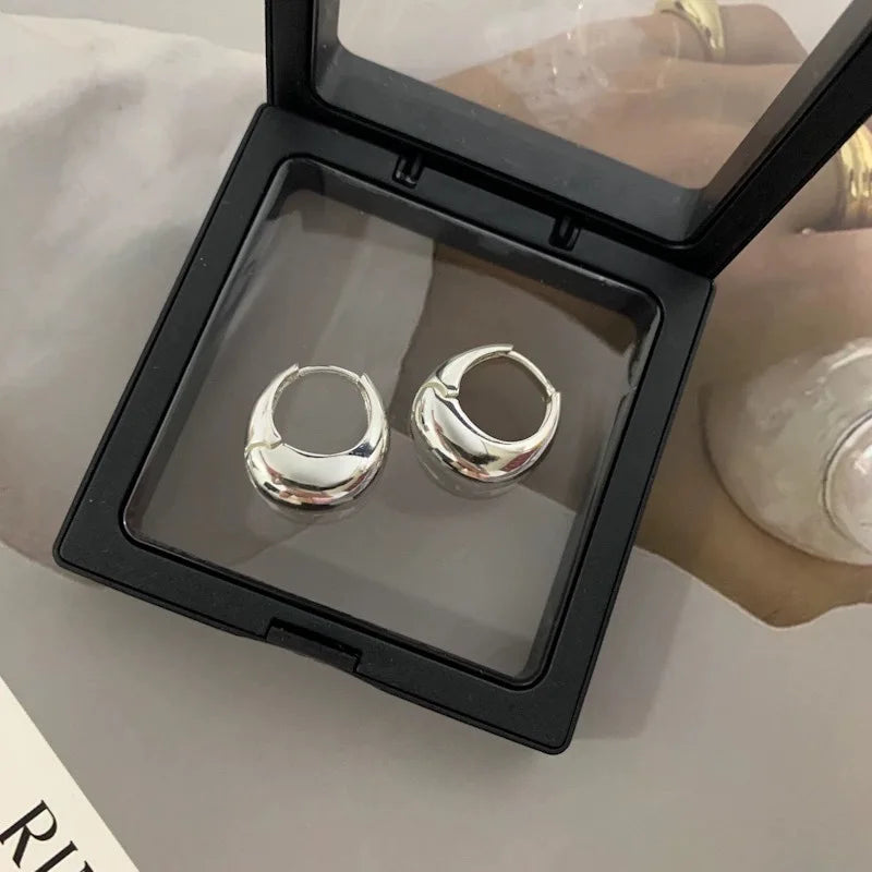 Stainless Steel Crystal Zircon Circle Earrings silver in gift box display